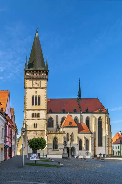 Basiliek Van Giles Bardejov Slowakije Een Gotisch Sacraal Gebouw Dat — Stockfoto