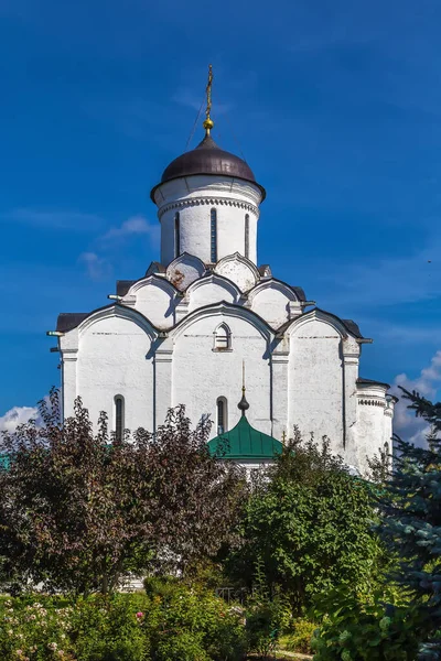 Antagande Katedral Knyaginin Kloster Vladimir Ryssland — Stockfoto