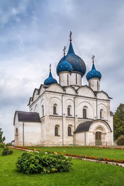 Suzdal Kremlin Rusya Doğuş Katedrali — Stok fotoğraf
