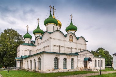 Aziz Euthymius Manastırı 'ndaki Kurtarıcının Dönüşümü Katedrali, Suzdal, Rusya