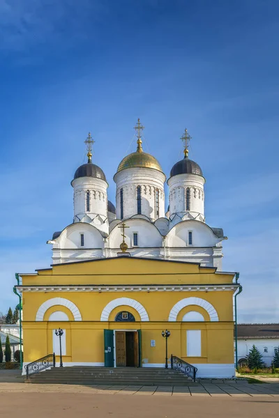 Kathedraal Van Geboorte Paphnutius Borovsk Klooster Rusland — Stockfoto