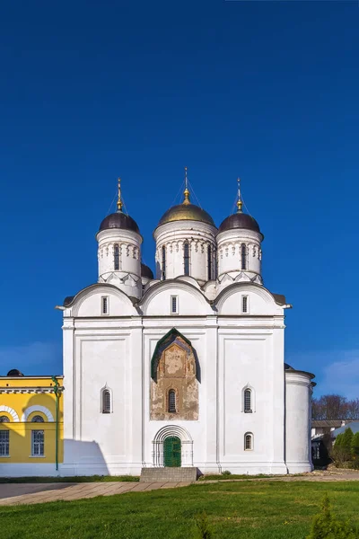 Catedral Natividad Monasterio San Papnucio Borovsk Rusia — Foto de Stock