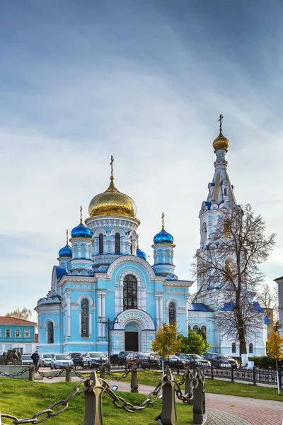 Katedrála Nanebevzetí Panny Marie Centru Maloyaroslavets Rusko — Stock fotografie