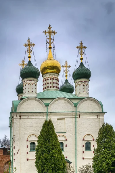 Nikolaikatedralen Zarajsk Kreml Russland – stockfoto