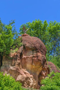 Rusya 'nın Kislovodsk şehrinde kırmızı taşlar üzerinde bir kartal heykeli