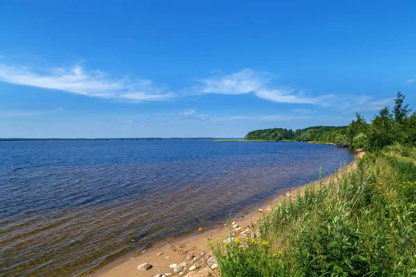 Ландшафт Озером Селігер Влітку Росія — стокове фото