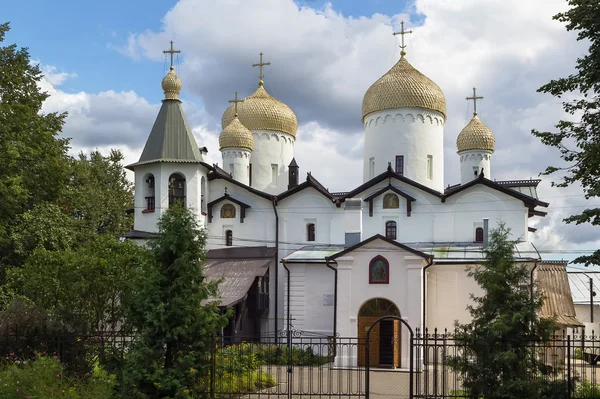 Церкви св. апостола Филиппа и св. Николая Чудотворца — стоковое фото