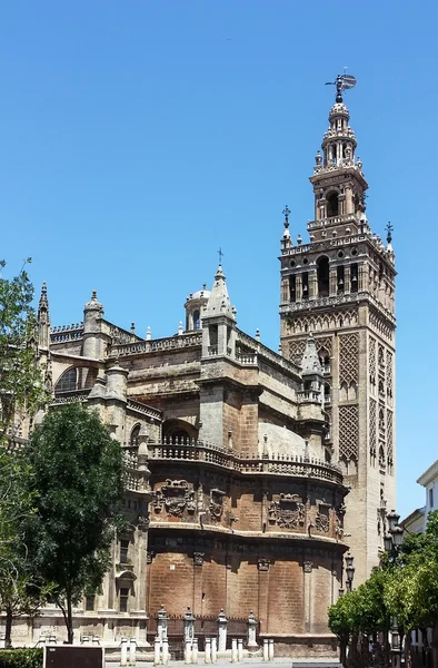 De katheder in sevilla, Spanje — Stockfoto