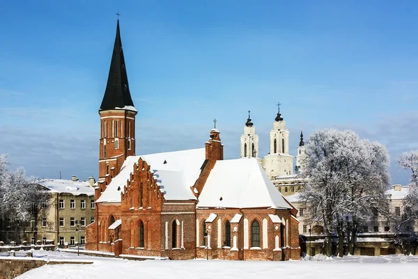 Vytautas la Grande Chiesa, Kaunas — Foto Stock