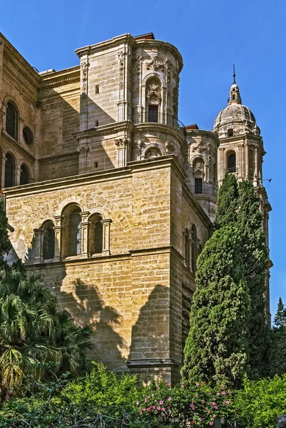 Kathedraal van Malaga, Spanje — Stockfoto