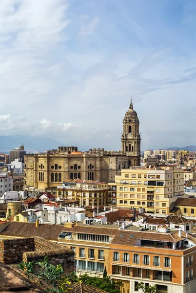 Cattedrale di Malaga, Spagna — Foto Stock