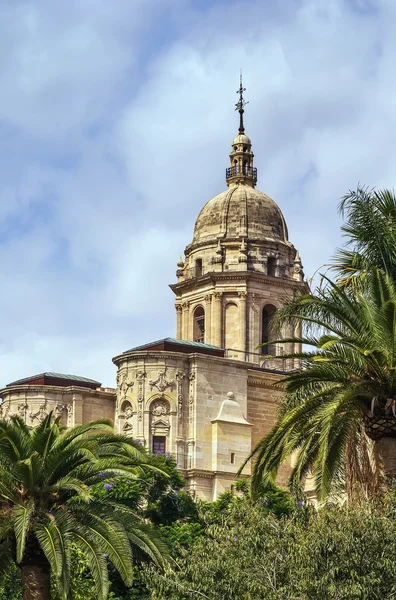 Cathédrale Malaga, Espagne — Photo