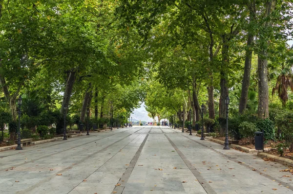 Callejón en el parque, Roda, España — Foto de Stock