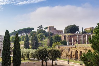 Palatine, Roma görünümünü