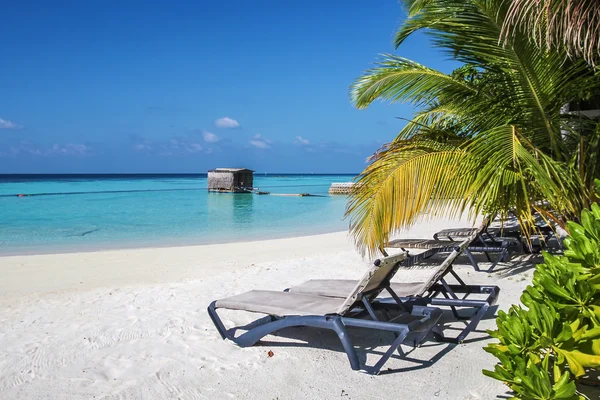 Tropisch strand, Maldiven — Stockfoto