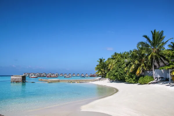 Het witte zandstrand, Maldiven — Stockfoto