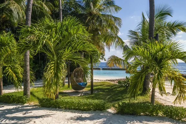 Chair-swing — Stock Photo, Image