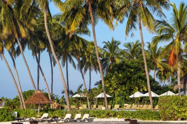 tropikal plaj, Maldivler