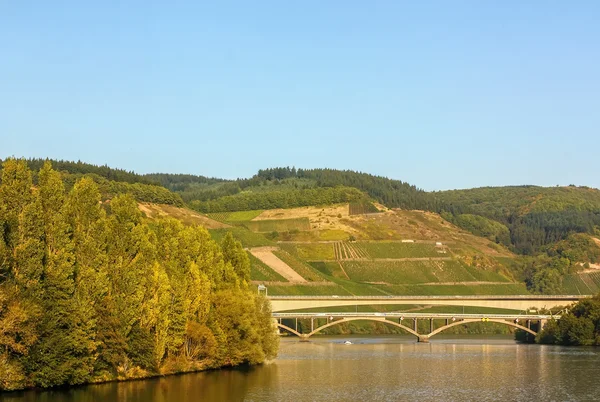 Moselle Nehri, Almanya — Stok fotoğraf