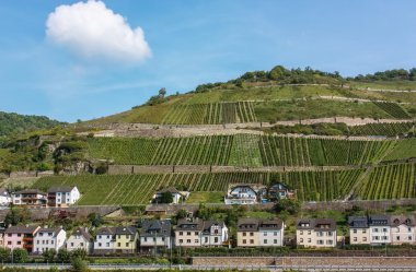 Ren Vadisi, konu ile ilgili