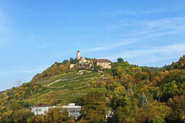 Burg Hornberg na rzekę Neckar, Niemcy — Zdjęcie stockowe