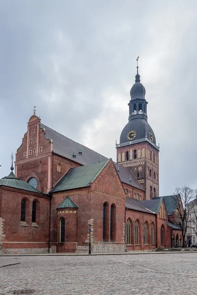 Riga cathedral, Lettland — Stockfoto