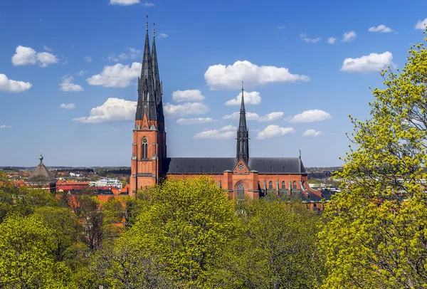 Uppsala domkyrka — Stockfoto