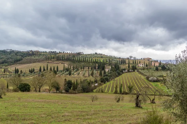 Paesaggio della Toscana, Italia — Foto Stock