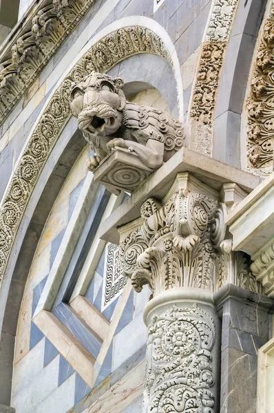 Pisa cathedral sütun, İtalya'nın başkenti — Stok fotoğraf