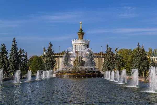 Flor de pedra da fonte, Moscou — Fotografia de Stock