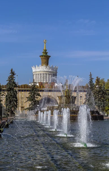 Fontän stenblomman, Moskva — Stockfoto