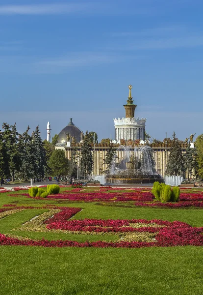 Flor de pedra da fonte, Moscou — Fotografia de Stock