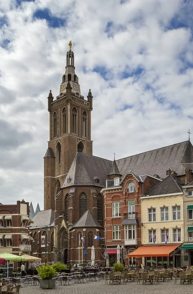 Catedrala Sf. Christopher, Roermond, Olanda — Fotografie, imagine de stoc