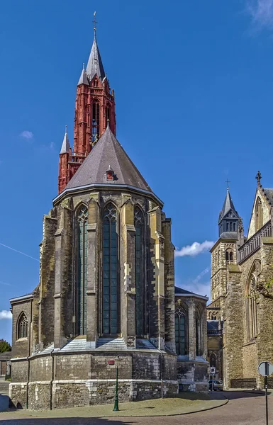 St. John's Cathedral, Maastricht — Stock Photo, Image