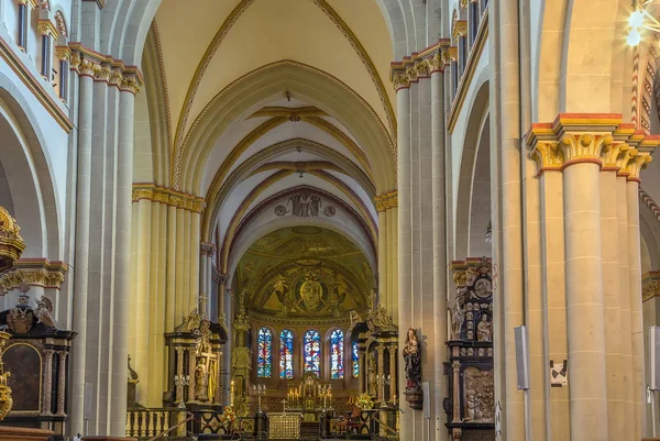 Bonn Minster, Alemania — Foto de Stock