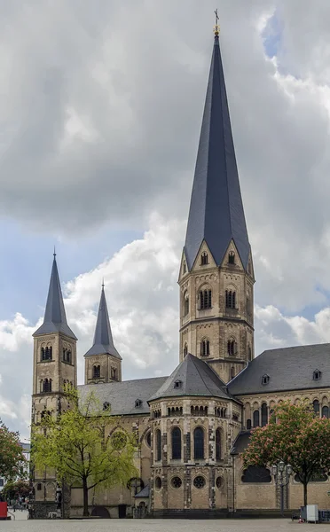 Собор Бонна, Німеччина — стокове фото