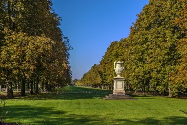 Sokakta park Pillnitz, Almanya 