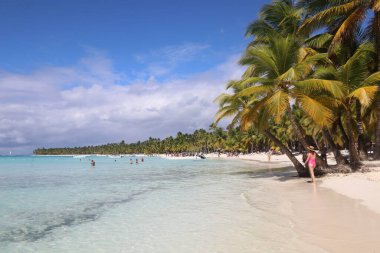 Okyanusta palmiye ağaçları olan kumsal