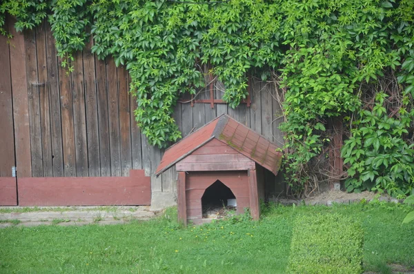 Casa de cão marrom — Fotografia de Stock