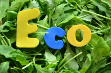 Word Eko soyut üzerinde