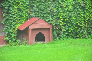 Köpek Evi