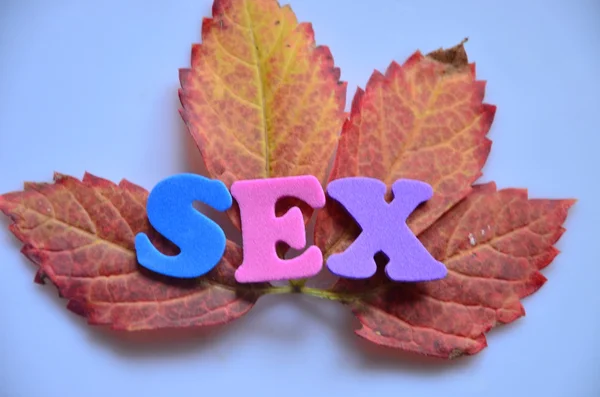 Sex word — Stock Photo, Image