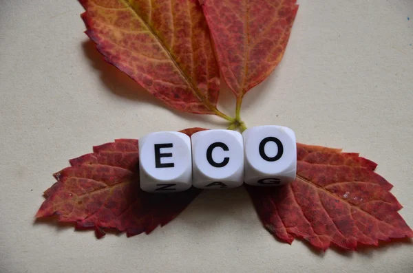 WORD ECO — Stock Photo, Image