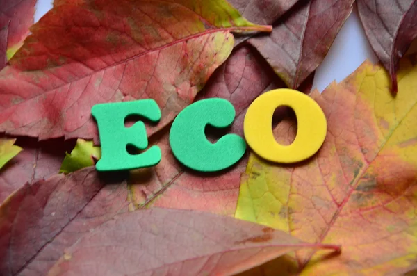 Eco word — Stock Photo, Image