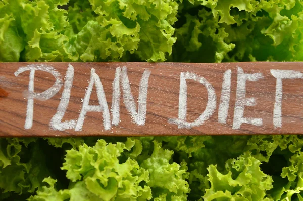Plan diet — Stock Photo, Image
