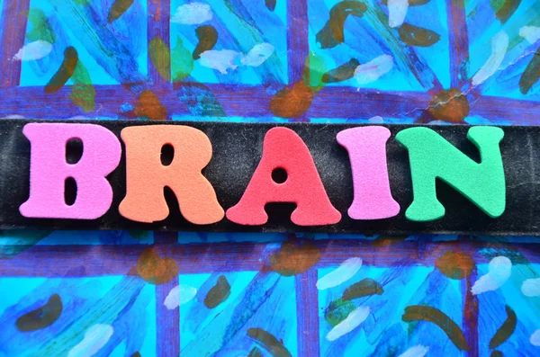 Brain — Stock Photo, Image