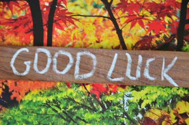 Kelime yazmak şans getirir. İyi şans getiren bir servetin iş konsepti. Tahta gibi boş bir tahtası var.