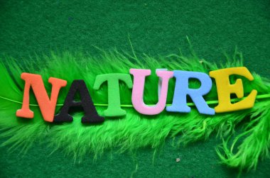 Doğa kelimesi yeşil arka plandaki ahşap harflerden yapılmış.