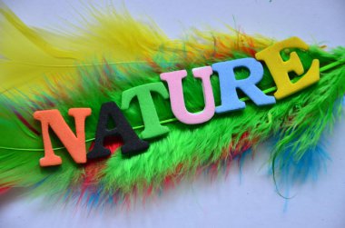 Soyut renkli bir arkaplanda doğal sözcük