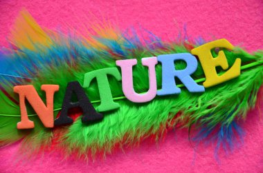 Kelime yazmak doğaldır. Doğal ve doğal çevrenin iş fotoğraflarının sergilenmesi